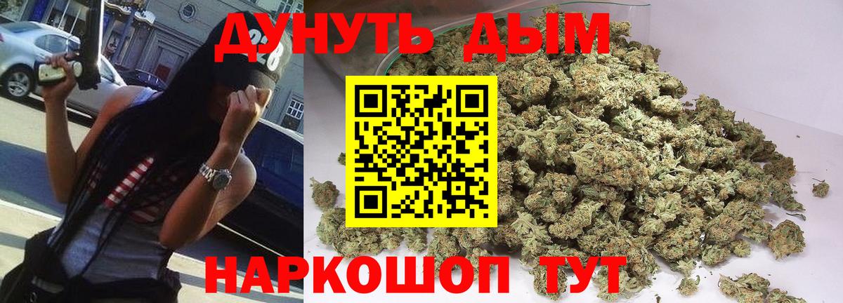 Каннабис SATIVA & INDICA Узловая